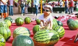 在线吃瓜--今日大赛